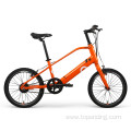 Customized 20 Inch Electric Bike